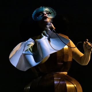 Björk — artist photo