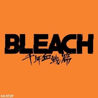 Bleach — artist photo