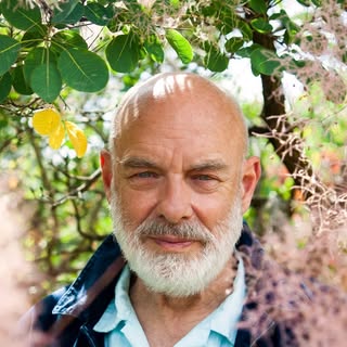 Brian Eno — artist photo