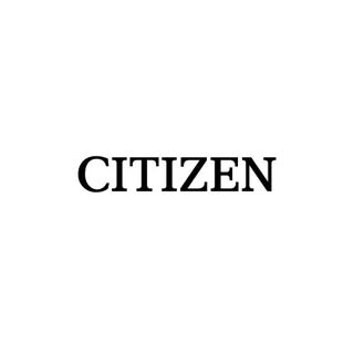 Citizen — artist photo