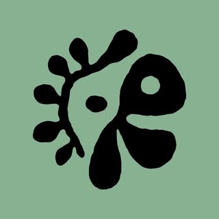 CORTIS — artist photo