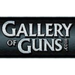 Gun — artist photo