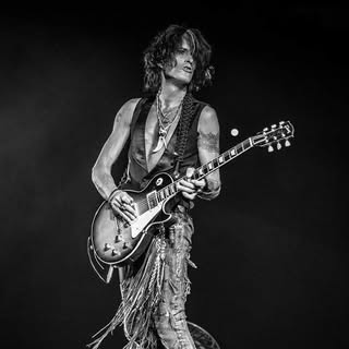 Joe Perry — artist photo