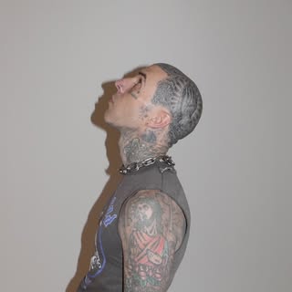 Travis Barker β artist photo