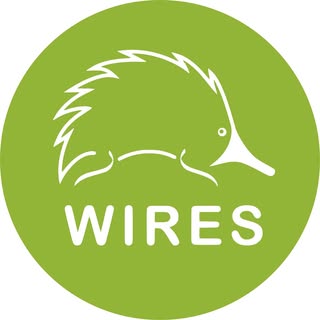 Wires — artist photo